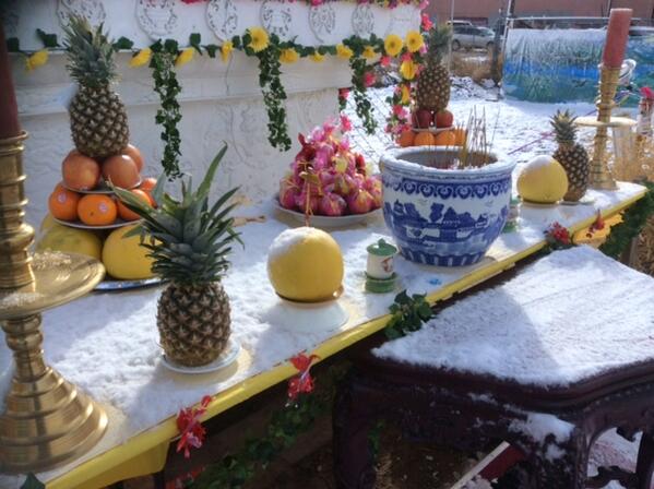 in snow - a pure offering to the Buddha 2014