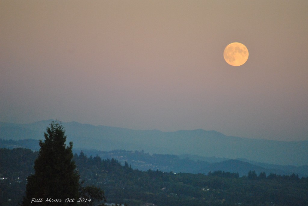 Full Moon Oct 7 - 2014 (3)