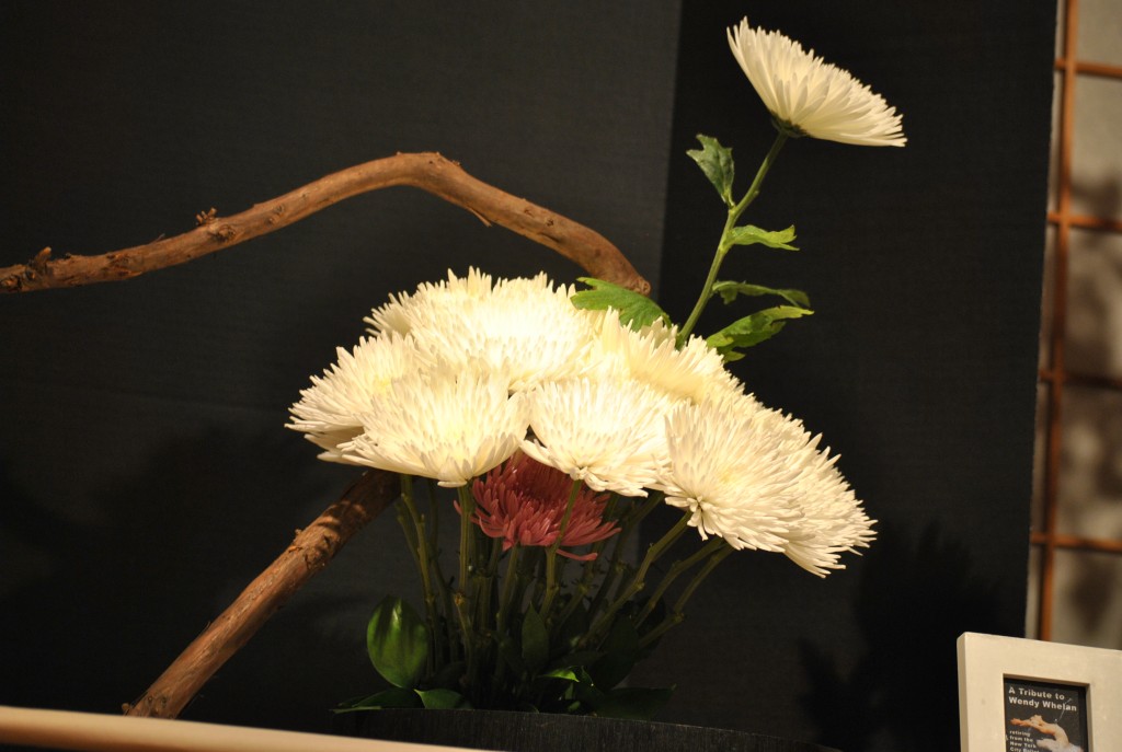In this type of arrangement: The Pink Chrysanthemum was hiding under White Chrysanthemums with meaning: the New York City Ballet stage was retiring after 30 years on Oct 18th, 2014. (by Amy RM Stahl / Sogetsu School )