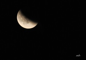Lunar Eclipse Sept 27 - 2015 (3)