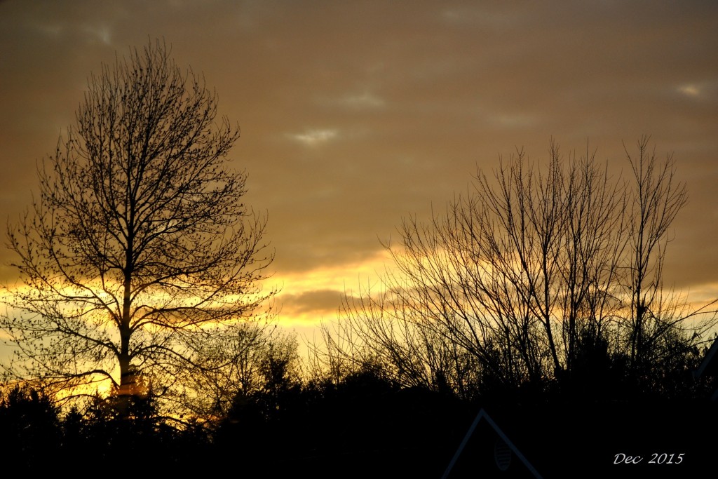 Sunrise Dec 1 - 2015 (17)