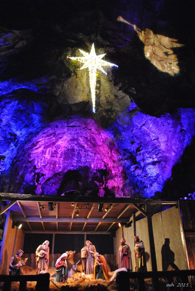 The Christmas Grotto 2015 (6)