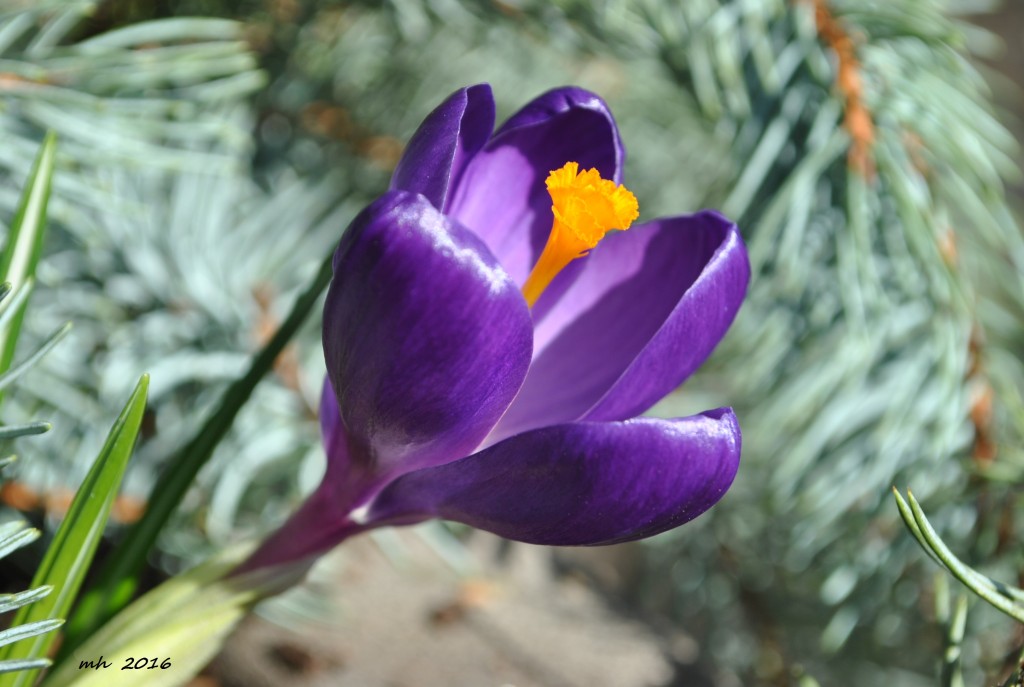 Feb 2016 (29)