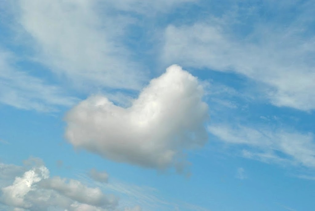 Oct 12th, 2011 _ (4)