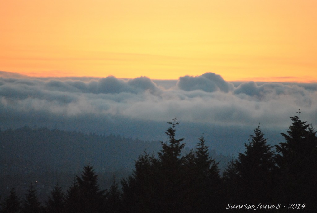Sunrise June 8 - 2014 (20)