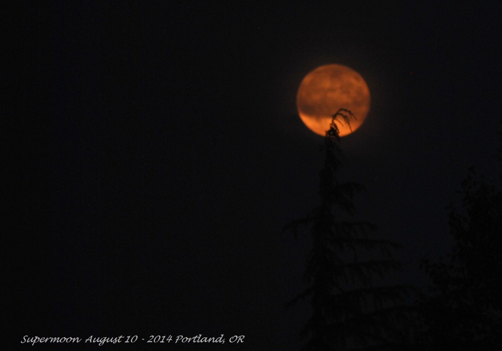 Super Moon August 10 - 2014 (11)