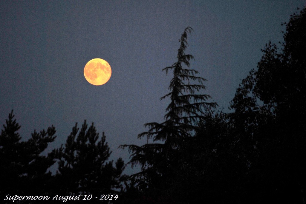 Super Moon August 10 - 2014 (5)
