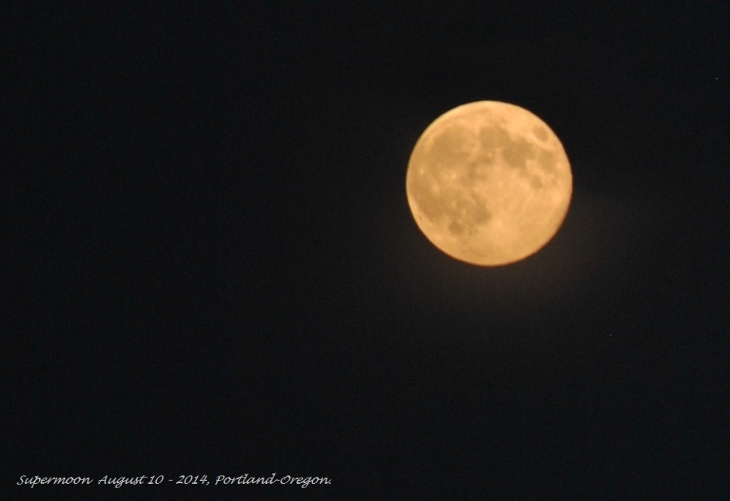 Super Moon August 10 - 2014 (7)