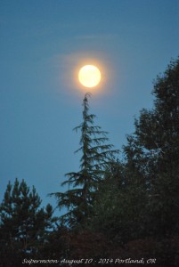 Supermoon August 10 - 2014