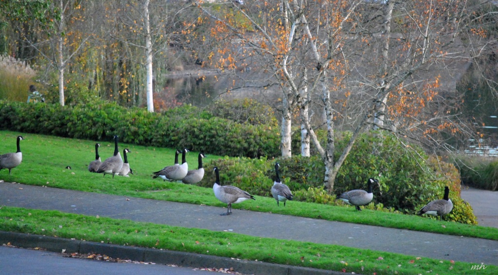 Autumn 2014.. (33)