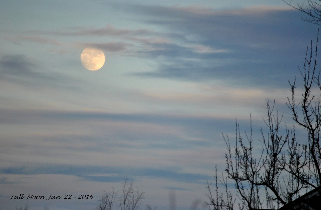 Full moon 2016 (1)