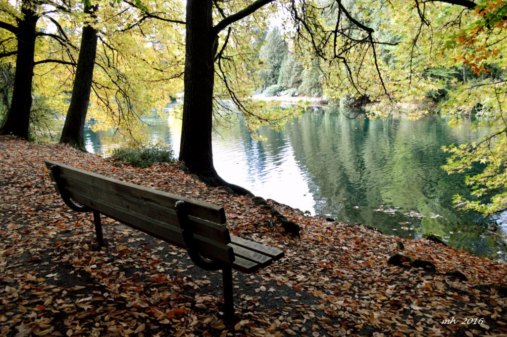 laurelhurst-park-in-portland-2016-31