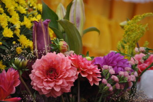 Le Phat Ngoc 2015 (5)