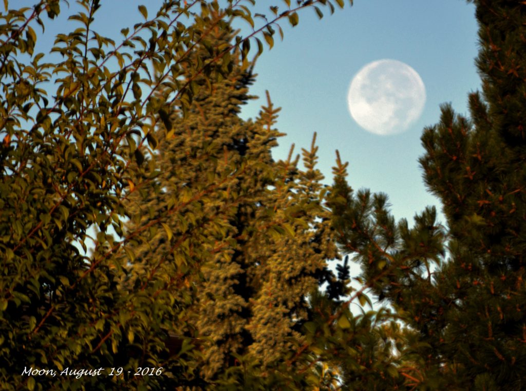 Moon, Aug 19 - 2016