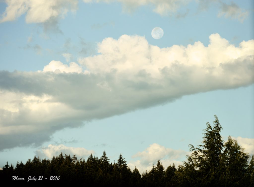 Moon July 21, 2016 - 4a