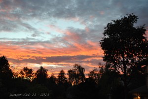 Oct 10 - 2015 (18)
