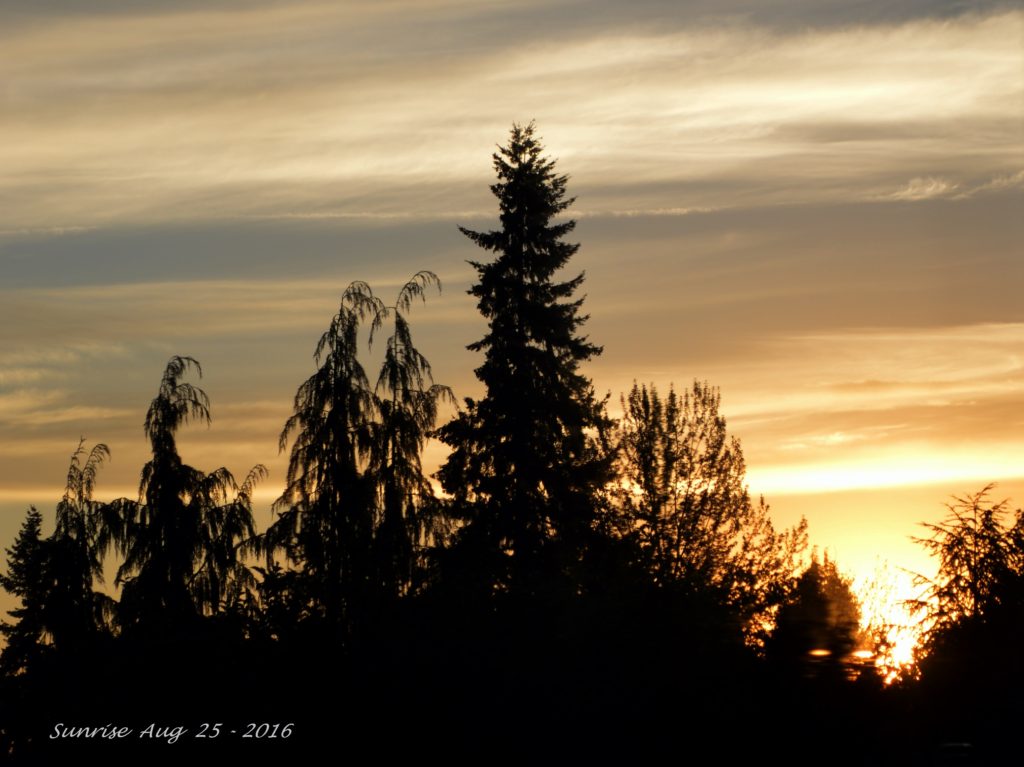 Sunrise Aug 25, 2016 -3