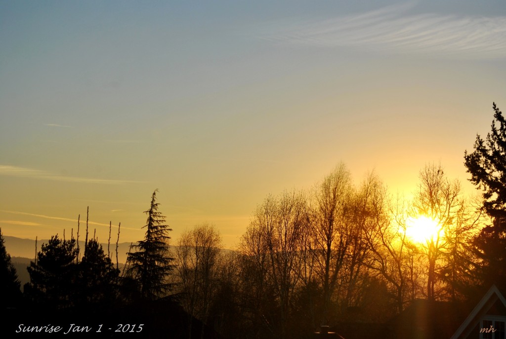 Sunrise Jan 1 - 2015