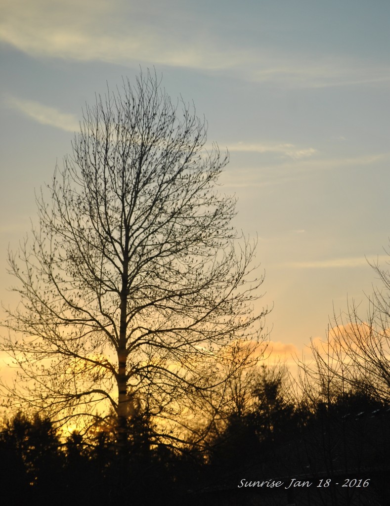 Sunrise Jan 18 - 2016 -- (1)