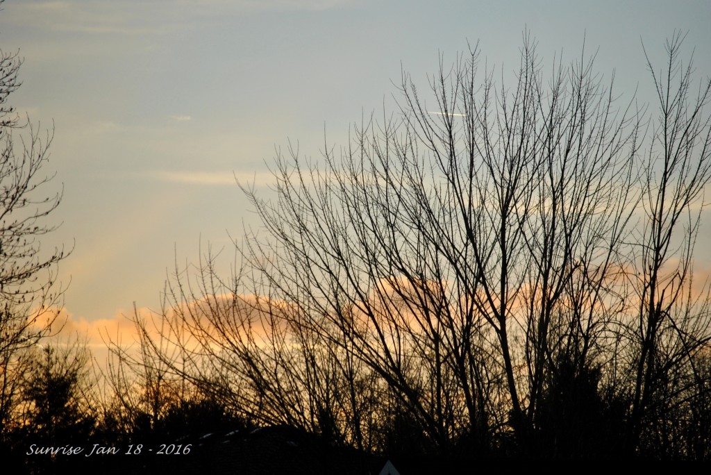 Sunrise Jan 18 - 2016
