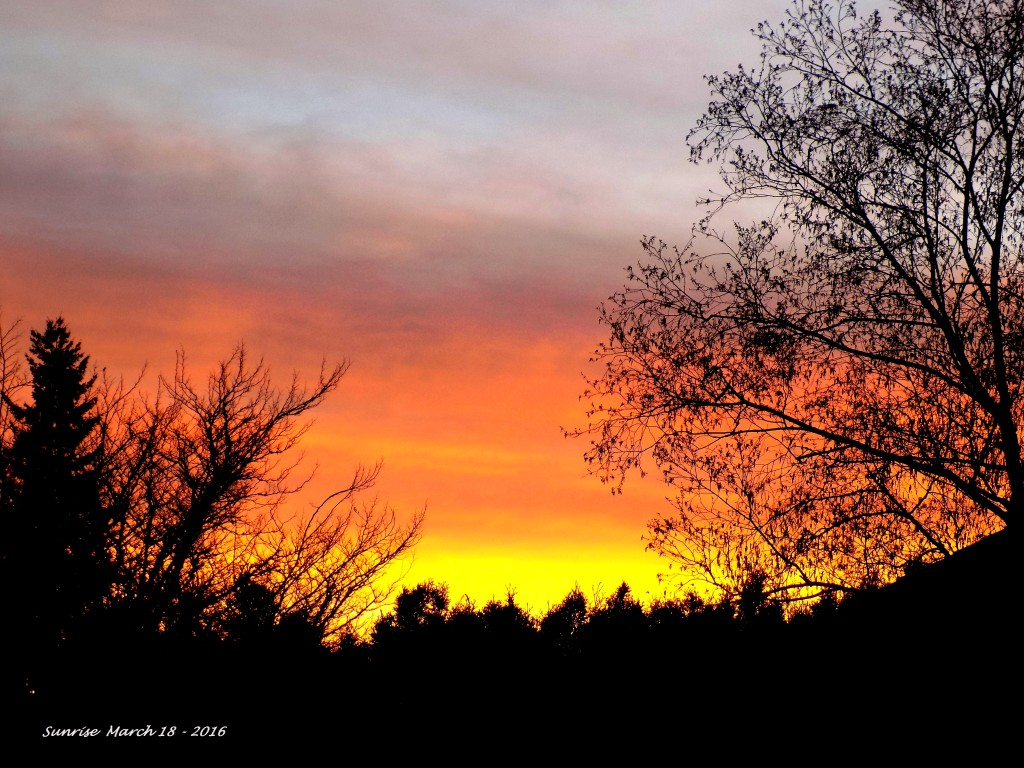 Sunrise March 2016