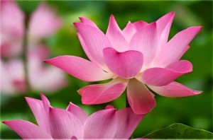 Wonderful! (4)