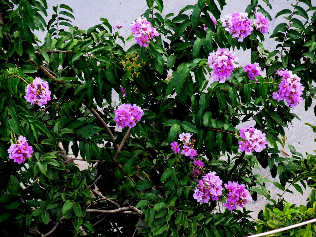 002 (192)