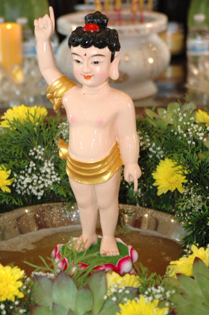 PHẬT ĐẢN 2014 (6)