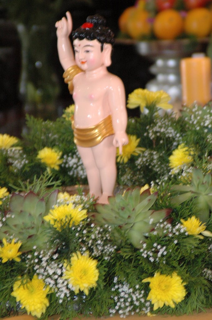 PHẬT ĐẢN 2014 (7)