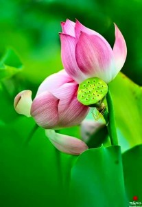 Wonderful!