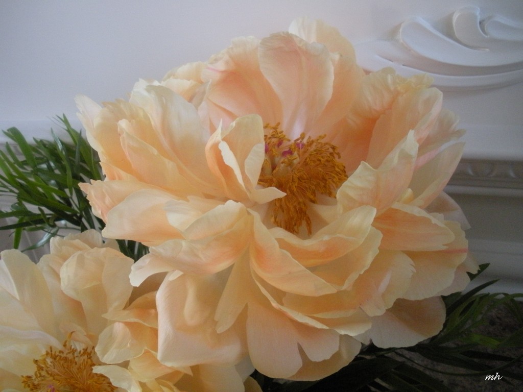 Flower (13)