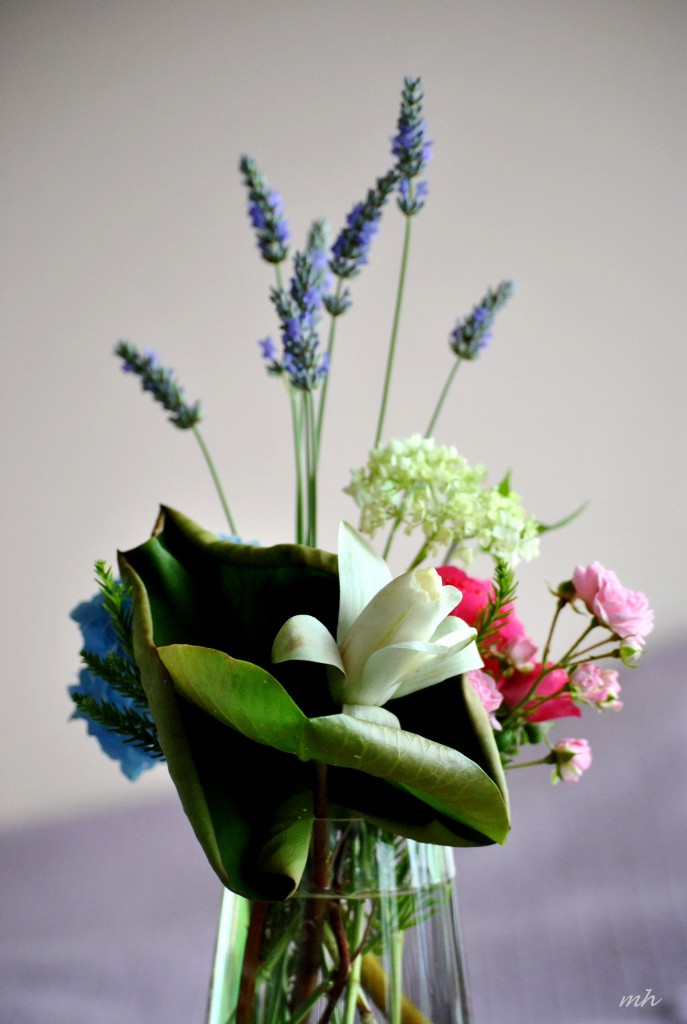 Water Lily 2014 (3)