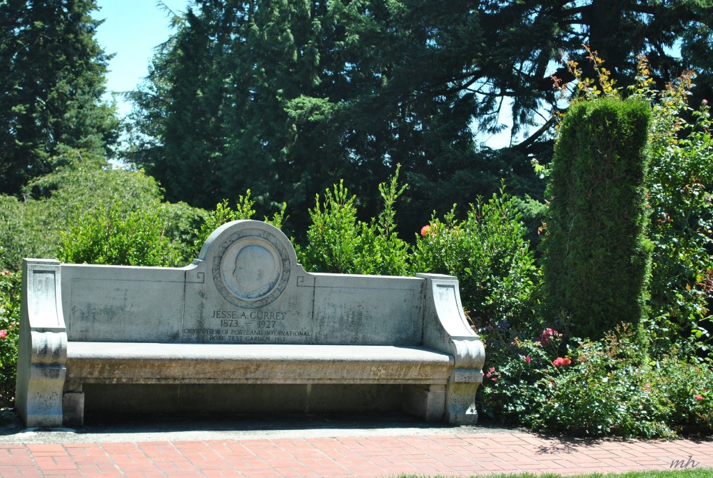 Rose Garden 2014 (328)