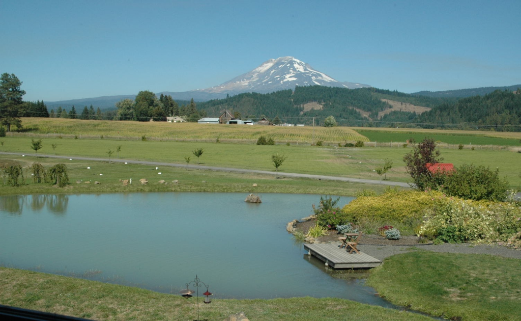 Mount Adam Zen Center (8)