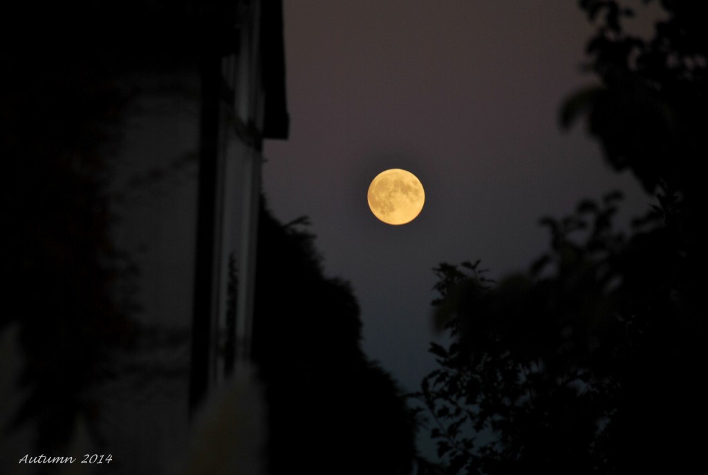 Full Moon thang 10 - 2014 (21)