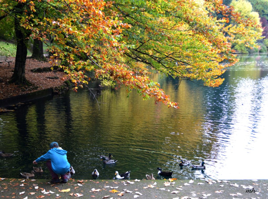 laurelhurst-park-2016-32