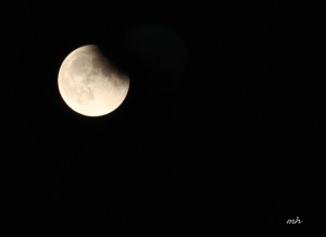 Lunar Eclipse Sept 27 - 2015 (5)