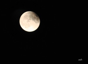 Lunar Eclipse Sept 27 - 2015 (6)