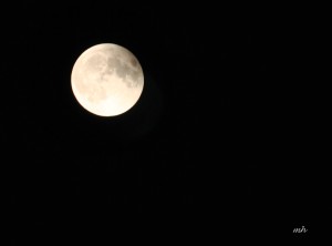 Lunar Eclipse Sept 27 - 2015 (7)
