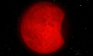 Lunar Eclipse (1)