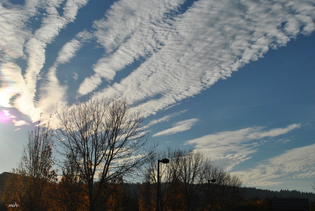 Nov 8 - 2014 (7)