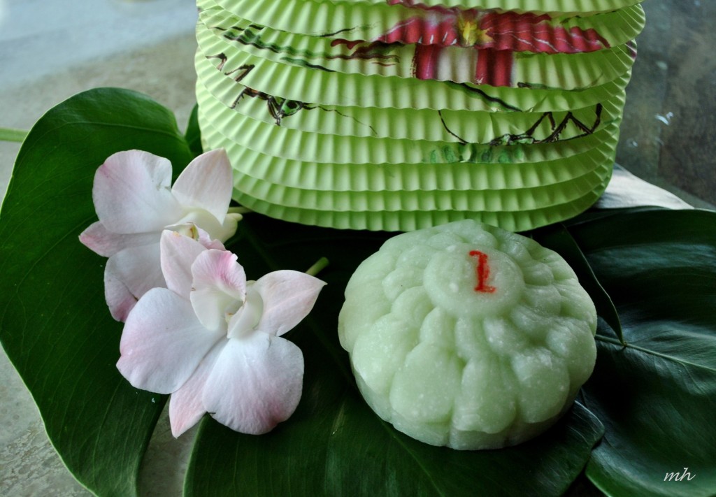 Tet Trung Thu in Oregon (1)