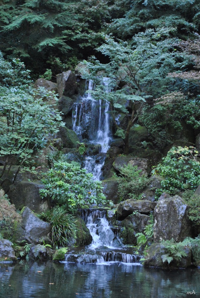 Vuon Nhat in Oregon 2014 (402)