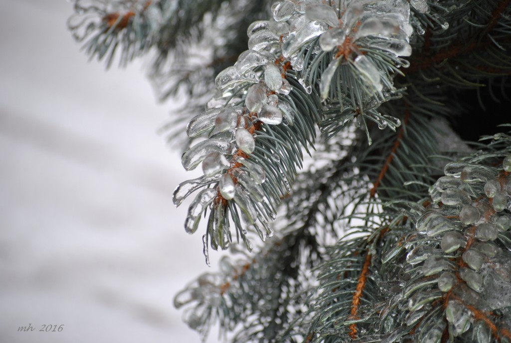 Winter 2016