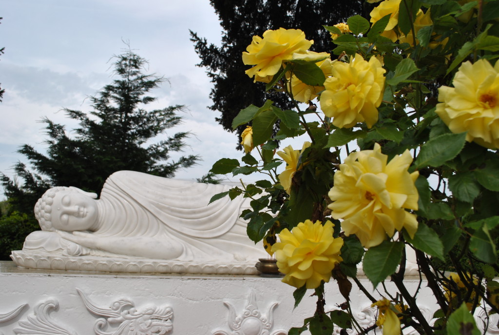 May 2015 (35)