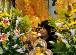 Hoa Dang Phat 2015