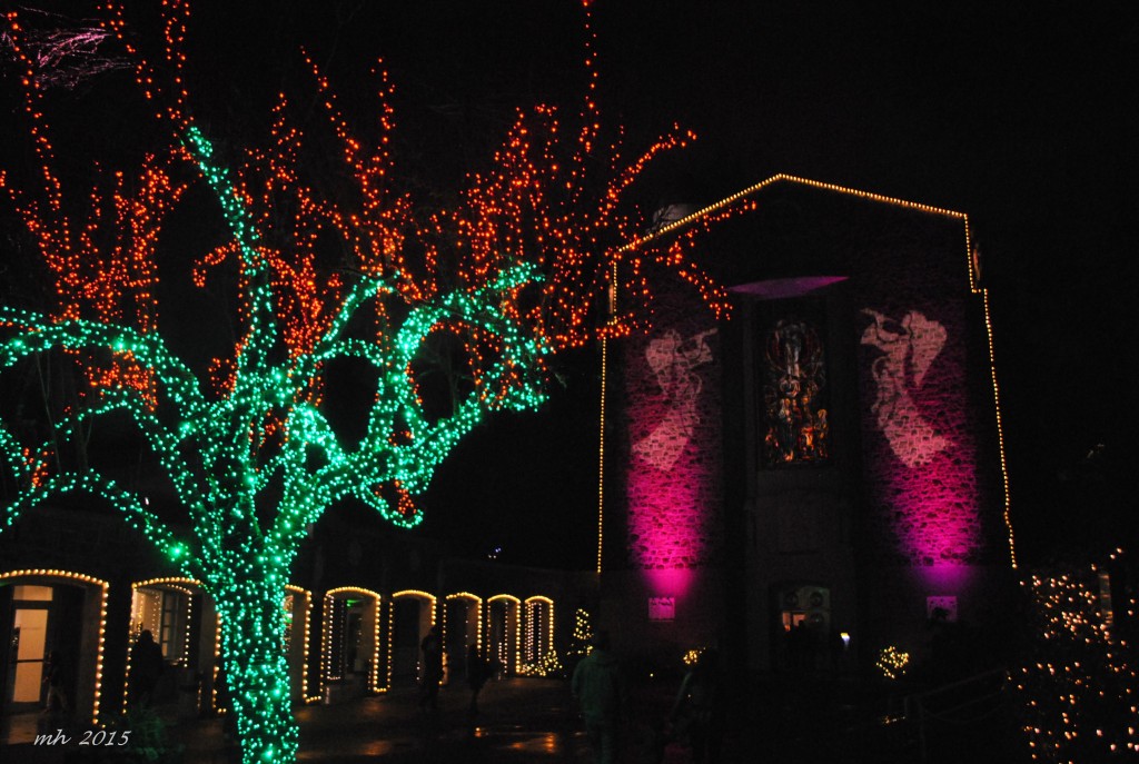 The Christmas Grotto 2015 (1)