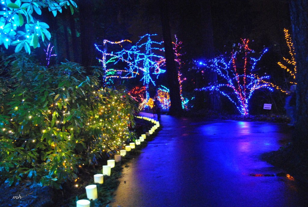 The Christmas Grotto 2015 (11)