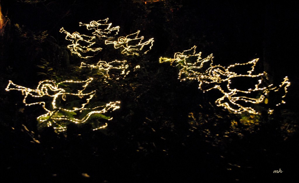 The Christmas Grotto 2015 (12)