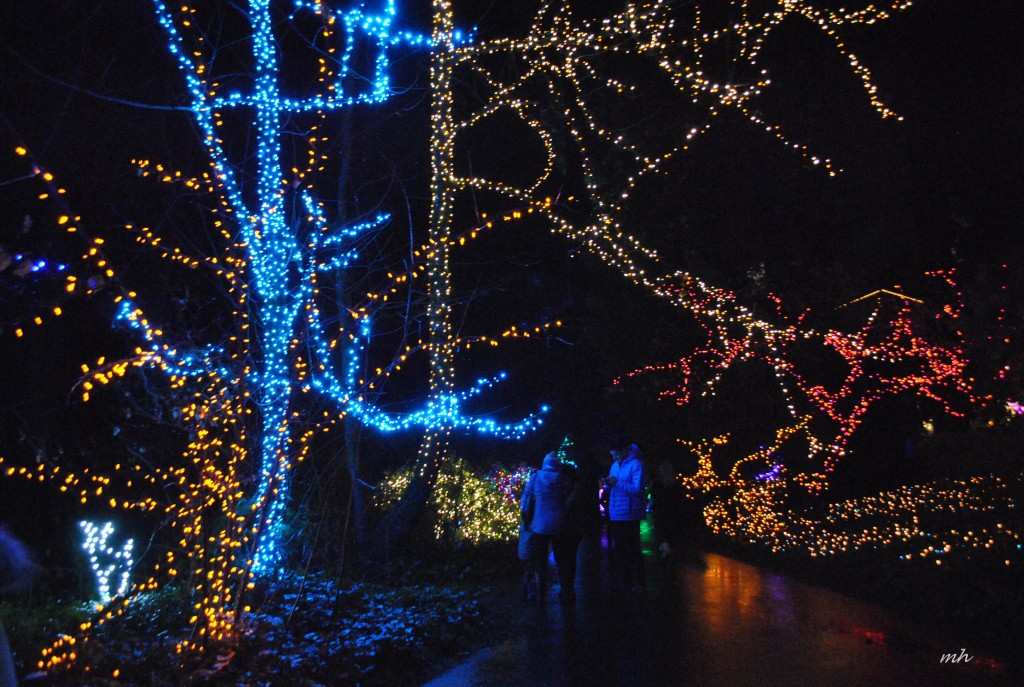 The Christmas Grotto 2015 (20)